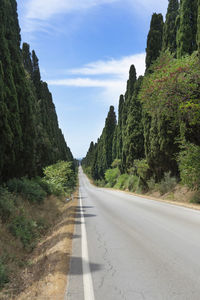 Road amidst trees against sky