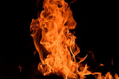 Close-up of bonfire at night