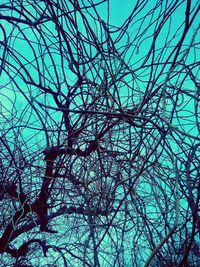 Low angle view of bare trees against blue sky