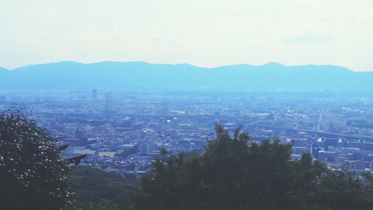 cityscape, building exterior, city, architecture, built structure, tree, outdoors, no people, sky, residential building, growth, nature, mountain, modern, scenics, beauty in nature, skyscraper, day