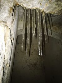 Low angle view of icicles hanging on wall in cave