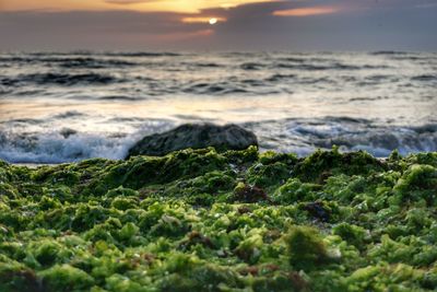 Close-up of sea against sky at sunset