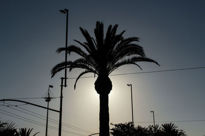 Low angle view of silhouette palm tree against clear sky