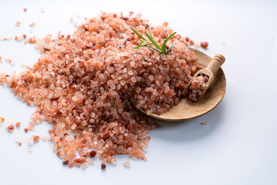 Close-up of food on white background