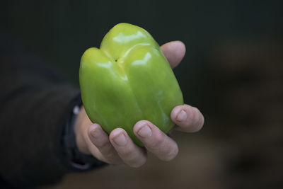 Bell pepper or paprika vegetable for cooking or eating raw