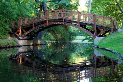 Bridge over river against trees