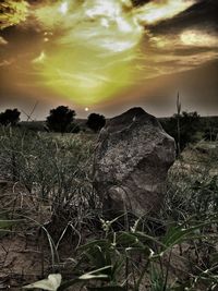 Scenic view of field against sky during sunset