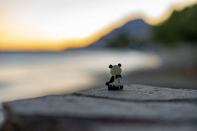 Close-up of small container on rock in sea