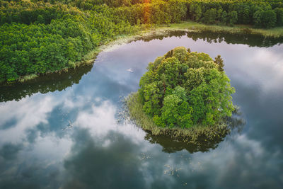 Reflection of tree on lake against sky