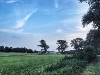 Scenic view of grassy field against cloudy sky