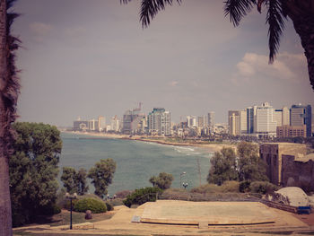 Scenic view of city by palm trees against sky