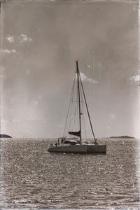 Sailboat sailing on sea against sky