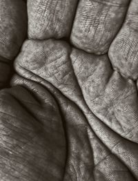 Detail shot of human hand