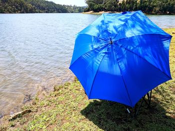 Close-up of blue umbrella by lake in forest