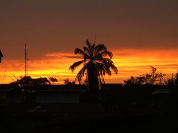 Silhouette palm trees against orange sky