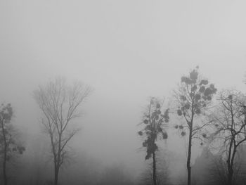 Silhouette bare trees against sky