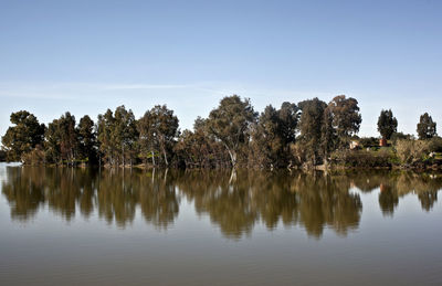 Reflection of trees in lake against sky