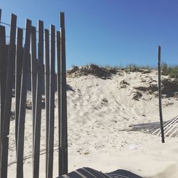 Trees on shore