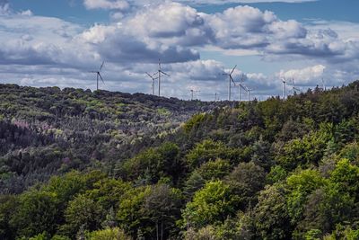 Jena natur 