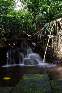 Waterfall in forest