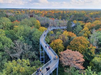 Panoramic view on the canopy walk alongside the colorful treetops in beelitz-heilstätten