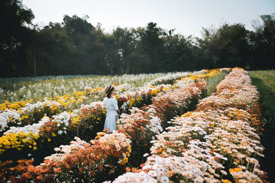 Person standing by flowering tree on field