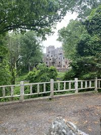 Trees growing in park against buildings