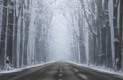 Road amidst trees in forest during winter