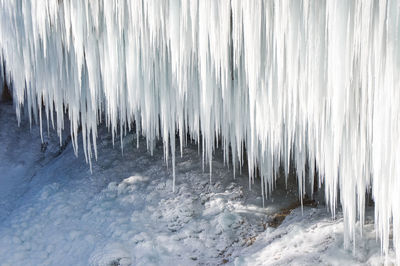 Icicles on land during winter