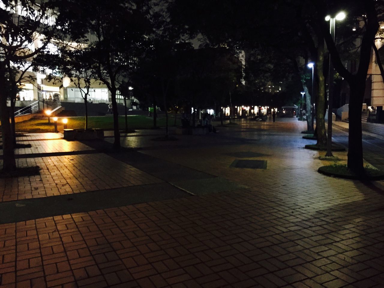 tree, illuminated, night, street light, city, street, sidewalk, footpath, the way forward, incidental people, road, empty, transportation, paving stone, built structure, lighting equipment, walkway, sunlight, shadow, pavement