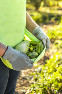 Midsection of man holding leaf