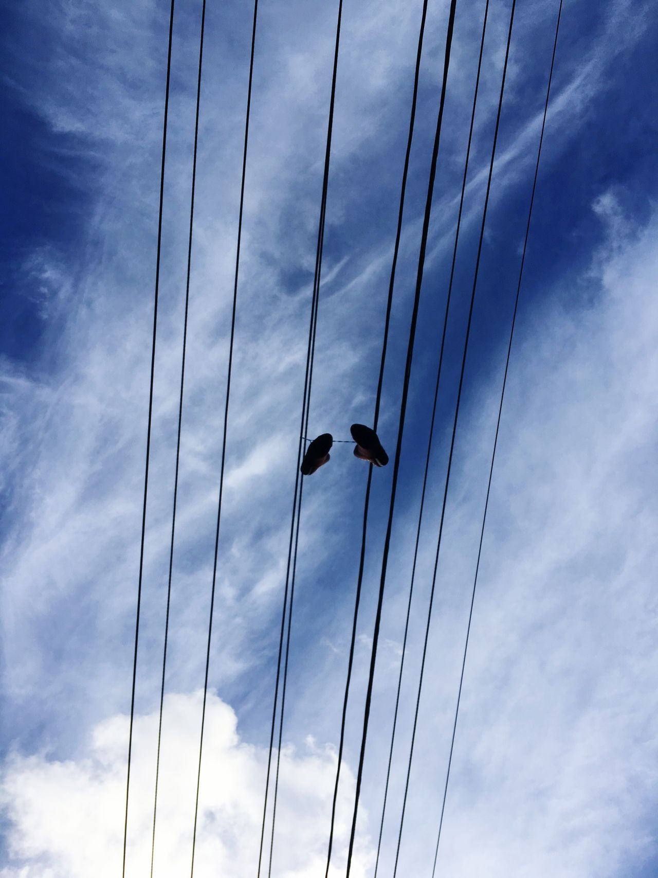 Hanging on power lines