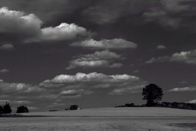 Storm clouds over trees