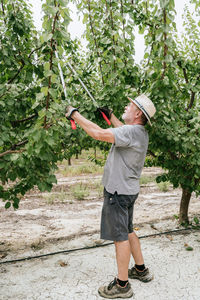 Full body side view elderly man in casual clothes and hat standing and cutting branches of apricot tree with pruner while working in orchard on sunny summer day