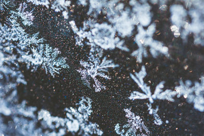 Full frame shot of frozen lake