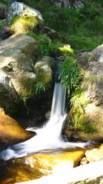 Stream flowing through rocks in forest