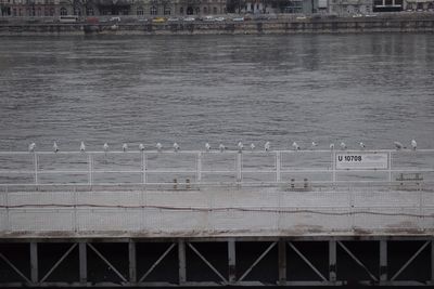 Bridge over river in city