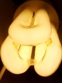 Close-up of illuminated lamp