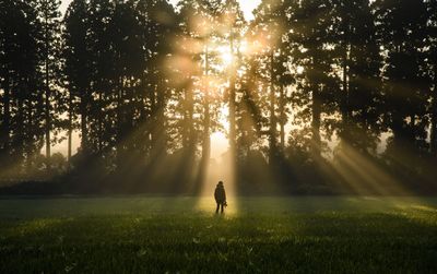 Silhouette man standing in front of sunbeam streaming through trees on field