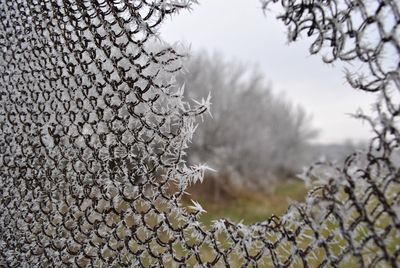 Close-up of frozen fence against sky