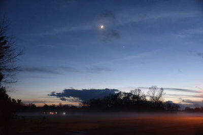 Silhouette trees on field against sky at night