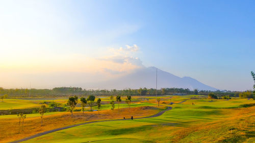 Scenic view of agricultural field against sky