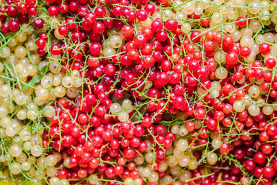 Full frame shot of cherries