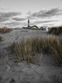 Plants on beach against sky