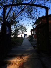 Walkway along trees