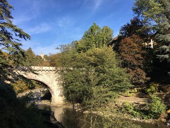 Bridge over trees against sky