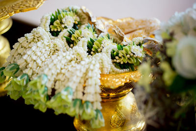 Close-up of flowers