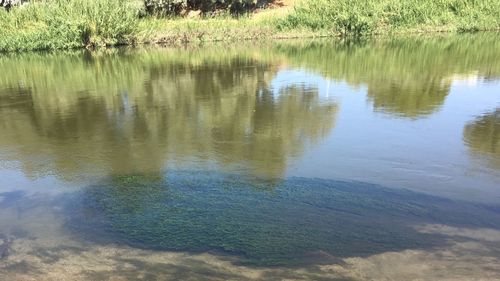 Scenic view of lake