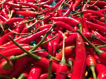 Full frame shot of red chili peppers