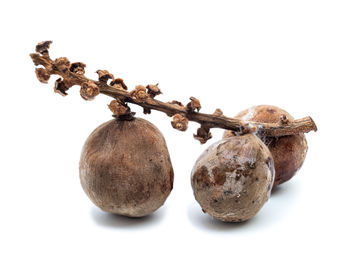 Close-up of fruits against white background